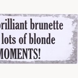 Skilt - I'm a brilliant brunette with lots of blonde moments!