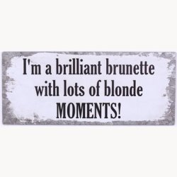 Skilt - I'm a brilliant brunette with lots of blonde moments!