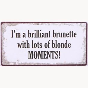 Magnet - I'm a brilliant brunette with lots of blonde moments!