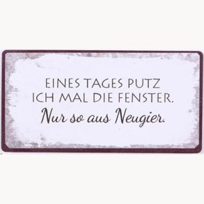 Magnet - Eines tages putz ich mal die fenster...