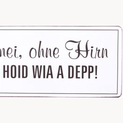 Skilt - Ja mei, ohne hirn bist hoid wia a depp