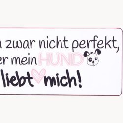 Skilt - Ich bin zwar nicht perfekt...