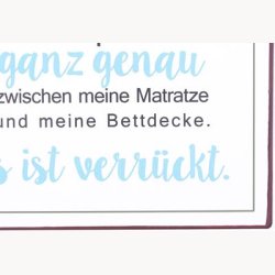 Skilt - Ich pass ganz genau...