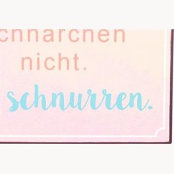 Skilt - Frauen schnarchen nicht...