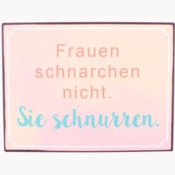 Skilt - Frauen schnarchen nicht...
