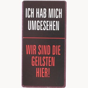 Magnet - Ich hab mich umgesehen...