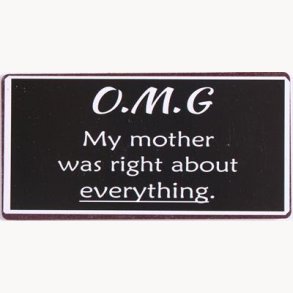 Magnet - OMG my mother was right...