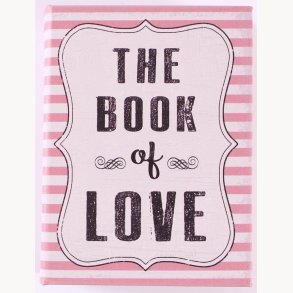 Book with secret storage