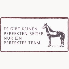 Magnet - Es gibt keinen perfekten reiter...