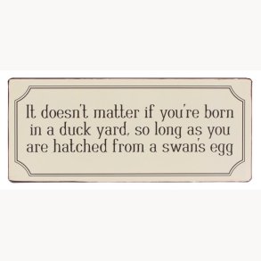 Skilt - It doesn't matter if you're born in a duck yard...