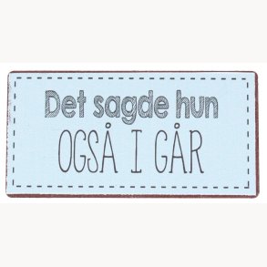 Magnet - Det sagde hun ogs i gr