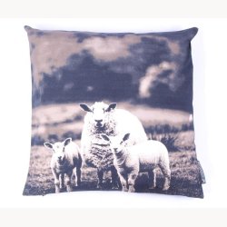 Cushion cover