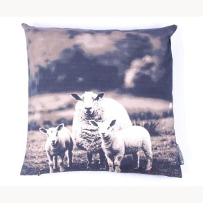 Cushion cover